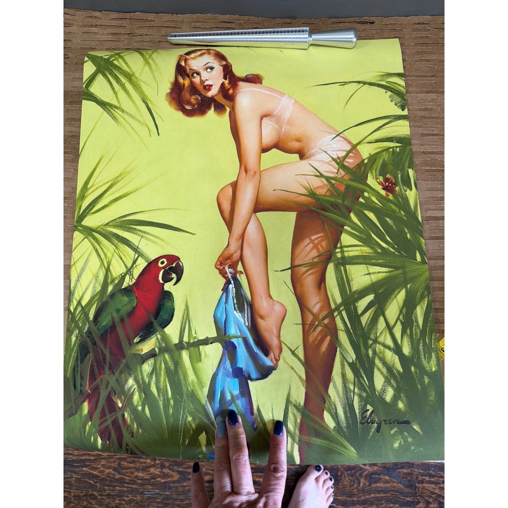 Gil Elvgren Hidden Assets Pin Up Girl Macaw Parrot Art Print 16x20 Retro Decor